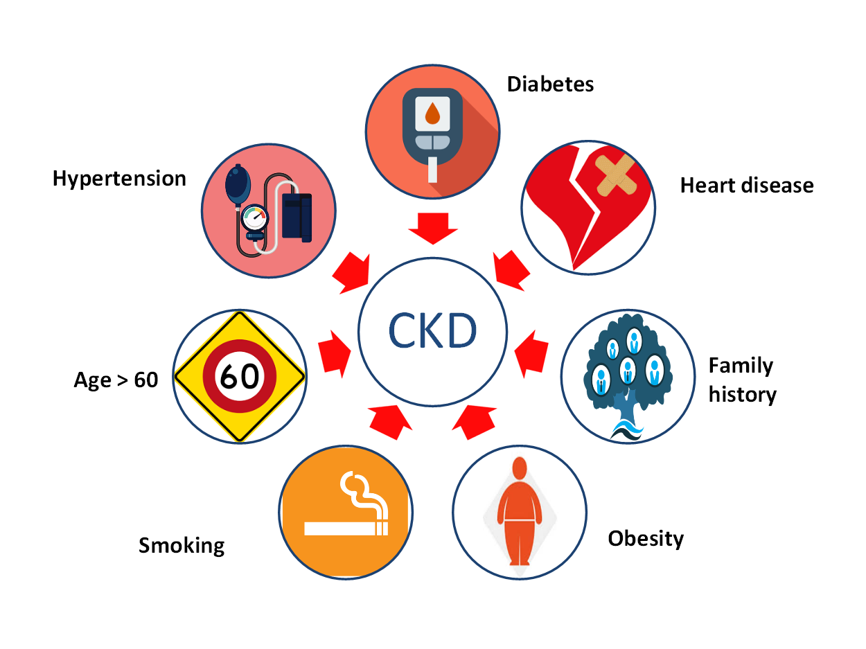 Learn About Your Kidneys - Trust Multispeciality Hospitals