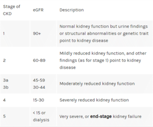 Stages of Kidney Disease and Risk Factors - Trust Multispeciality Hospitals